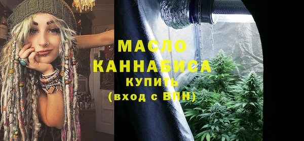 дживик Елабуга