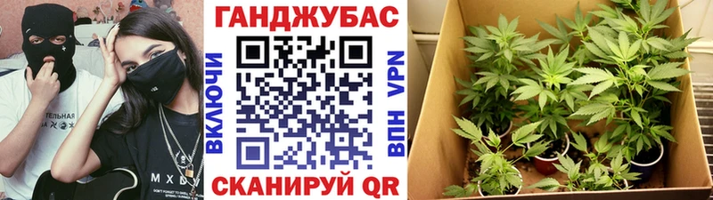 Конопля конопля Верхоянск